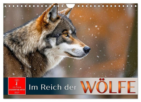 Im Reich der Wölfe (Wandkalender 2027 DIN A4 quer), CALVENDO Monatskalender