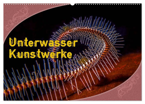 Unterwasser Kunstwerke (Wandkalender 2027 DIN A2 quer), CALVENDO Monatskalender