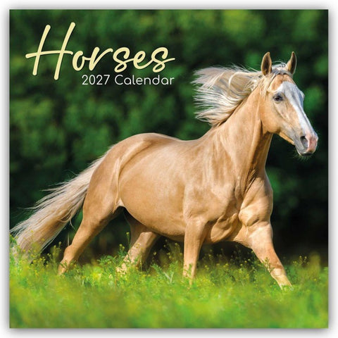 Horses – Pferde 2027 – 16-Monatskalender