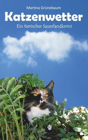 Katzenwetter