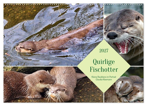 Quirlige Fischotter (Wandkalender 2027 DIN A2 quer), CALVENDO Monatskalender