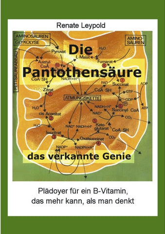 Die Pantothensäure /Das verkannte Genie