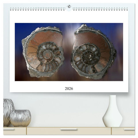 Versteinerte Welt (hochwertiger Premium Wandkalender 2026 DIN A2 quer), Kunstdruck in Hochglanz