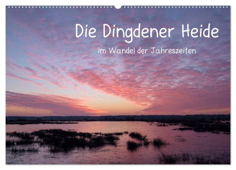 Die Dingdener Heide im Wandel der Jahreszeiten (Wandkalender 2027 DIN A2 quer), CALVENDO Monatskalender