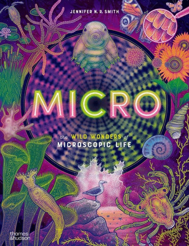Micro