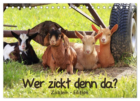 Wer zickt denn da? - Zicklein-Edition (Tischkalender 2027 DIN A5 quer), CALVENDO Monatskalender