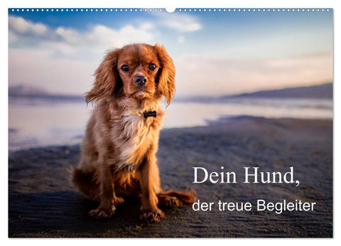 Dein Hund der treue Begleiter (Wandkalender 2027 DIN A2 quer), CALVENDO Monatskalender