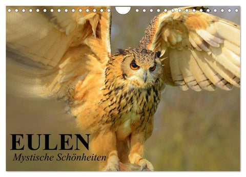 Eulen. Mystische Schönheiten (Wandkalender 2027 DIN A4 quer), CALVENDO Monatskalender