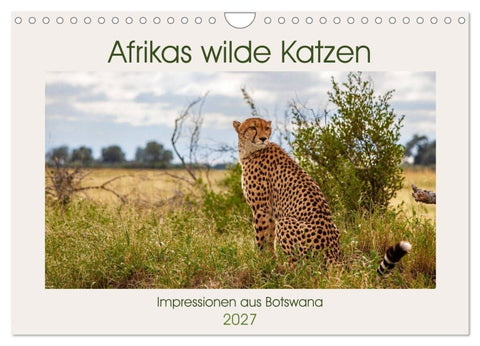 Afrikas wilde Katzen (Wandkalender 2027 DIN A4 quer), CALVENDO Monatskalender