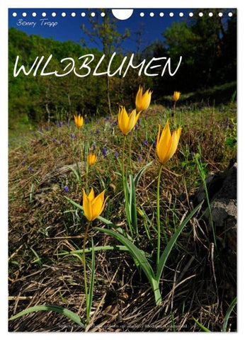 WILDBLUMEN (Wandkalender 2026 DIN A4 hoch), CALVENDO Monatskalender