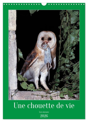 Une chouette de vie, les oiseaux (Calendrier mural 2026 DIN A3 horizontal), CALVENDO calendrier mensuel