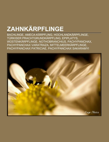 Zahnkärpflinge