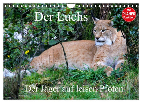 Der Luchs - Der Jäger auf leisen Pfoten (Wandkalender 2026 DIN A4 quer), CALVENDO Monatskalender