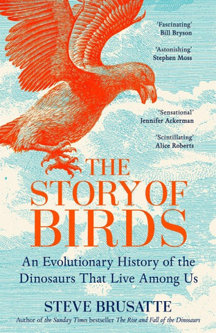 The Story of Birds