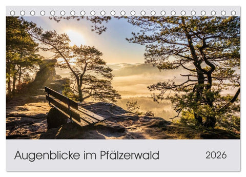 Augenblicke im Pfälzerwald (Tischkalender 2026 DIN A5 quer), CALVENDO Monatskalender