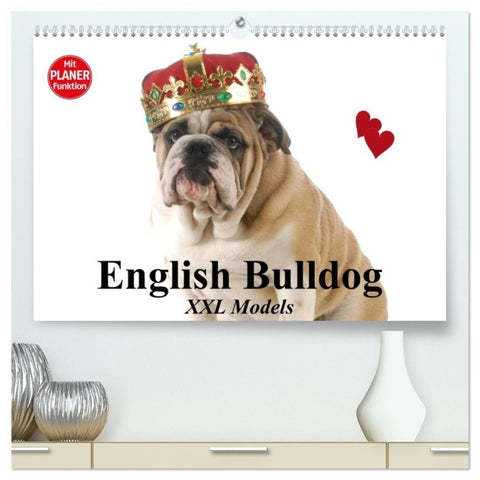 English Bulldog XXL Models (hochwertiger Premium Wandkalender 2027 DIN A2 quer), Kunstdruck in Hochglanz