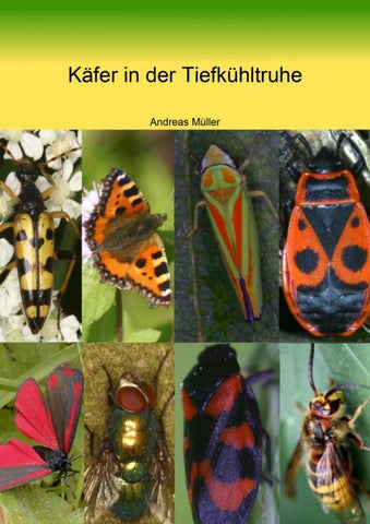 Käfer in der Tiefkühltruhe