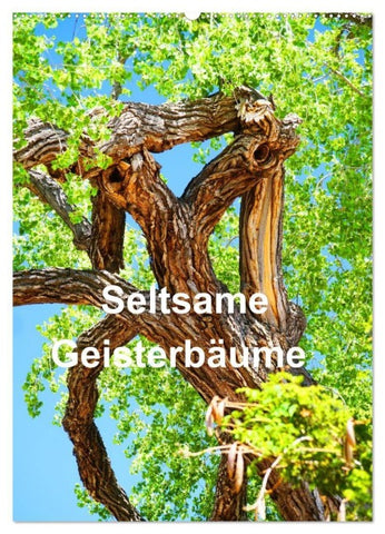 Geisterbäume (Wandkalender 2026 DIN A2 hoch), CALVENDO Monatskalender