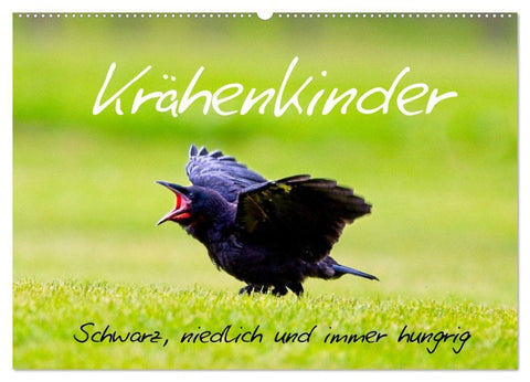 Krähenkinder - Schwarz, niedlich und immer hungrig (Wandkalender 2027 DIN A2 quer), CALVENDO Monatskalender