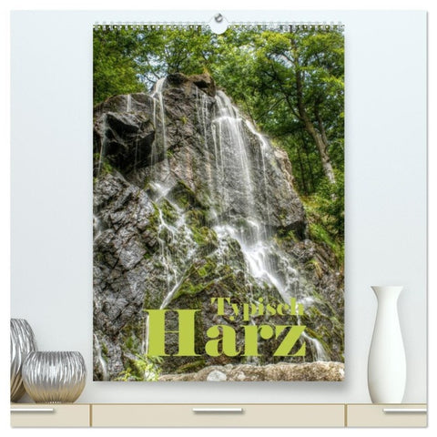 Typisch Harz (hochwertiger Premium Wandkalender 2026 DIN A2 hoch), Kunstdruck in Hochglanz