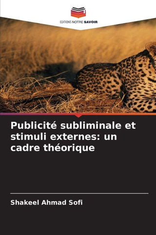 Publicité subliminale et stimuli externes: un cadre théorique