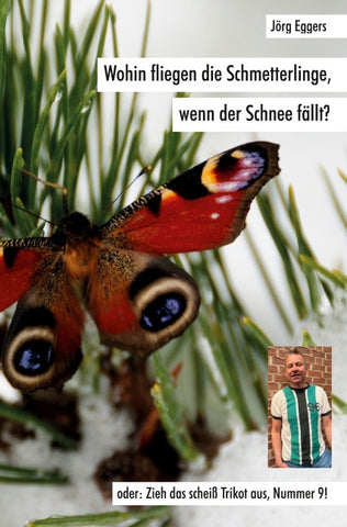 Wohin fliegen die Schmetterlinge, wenn der Schnee fällt?