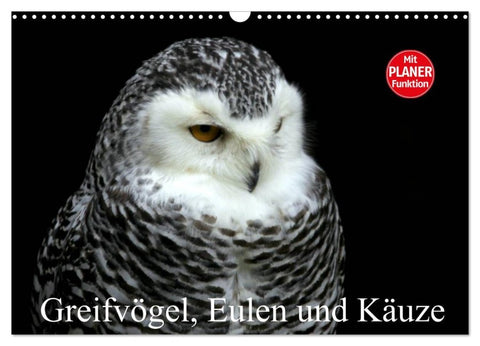 Greifvögel, Eulen und Käuze (Wandkalender 2026 DIN A3 quer), CALVENDO Monatskalender