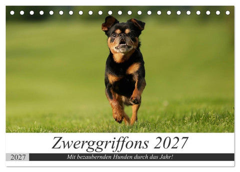 Zwerggriffons 2027 (Tischkalender 2027 DIN A5 quer), CALVENDO Monatskalender
