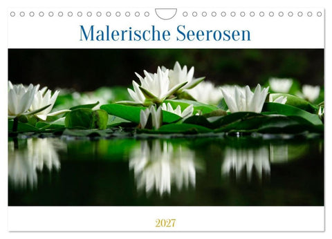 Malerische Seerosen (Wandkalender 2027 DIN A4 quer), CALVENDO Monatskalender