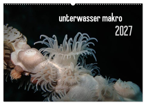 unterwasser makro 2027 (Wandkalender 2027 DIN A2 quer), CALVENDO Monatskalender