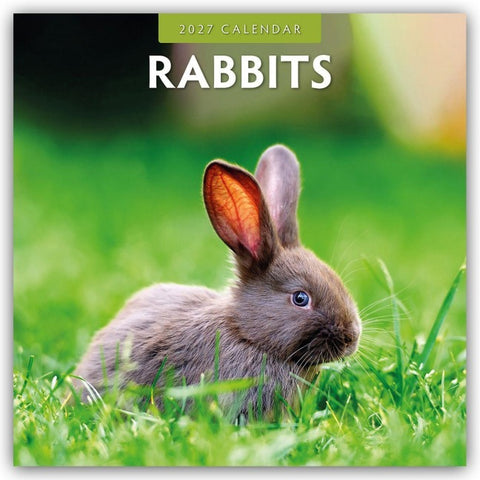Rabbits – Hasen – Kaninchen 2027 – 16-Monatskalender