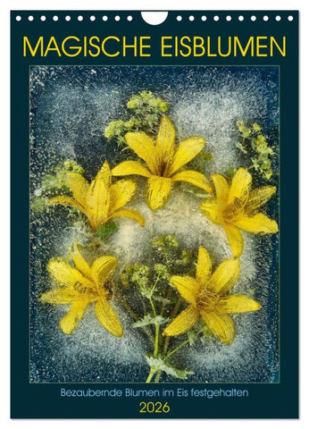 Magische Eisblumen (Wandkalender 2026 DIN A4 hoch), CALVENDO Monatskalender