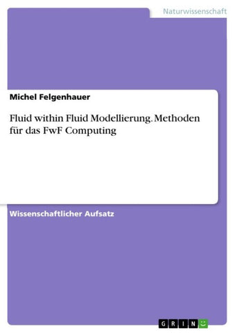 Fluid within Fluid Modellierung. Methoden für das FwF Computing
