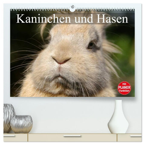 Kaninchen und Hasen (hochwertiger Premium Wandkalender 2026 DIN A2 quer), Kunstdruck in Hochglanz