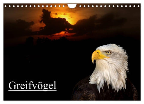 Greifvögel (Wandkalender 2027 DIN A4 quer), CALVENDO Monatskalender