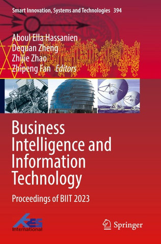 Business Intelligence and Information Technology