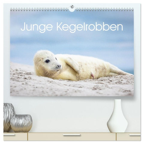 Junge Kegelrobben (hochwertiger Premium Wandkalender 2027 DIN A2 quer), Kunstdruck in Hochglanz