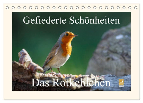 Gefiederte Schönheiten - Das Rotkehlchen (Tischkalender 2026 DIN A5 quer), CALVENDO Monatskalender