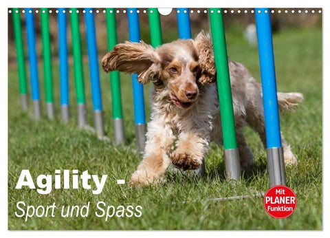 Agility - Sport und Spass (Wandkalender 2027 DIN A3 quer), CALVENDO Monatskalender