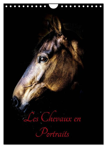 Chevaux en Portraits (Calendrier mural 2026 DIN A4 horizontal), CALVENDO calendrier mensuel