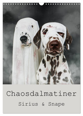 Chaosdalmatiner Sirius und Snape (Wandkalender 2027 DIN A3 hoch), CALVENDO Monatskalender
