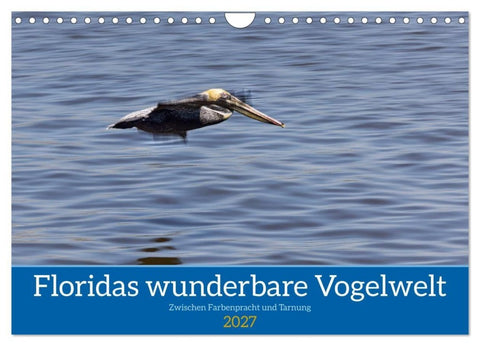 Floridas wunderbare Vogelwelt (Wandkalender 2027 DIN A4 quer), CALVENDO Monatskalender