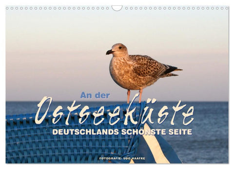 An der Ostseeküste - Deutschlands schönste Seite (Wandkalender 2027 DIN A3 quer), CALVENDO Monatskalender