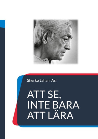 Att se, inte bara att lära
