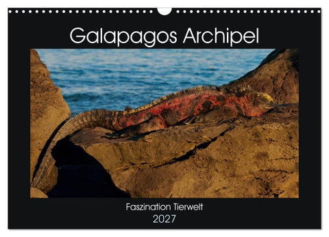 Galapagos Archipel- Faszination Tierwelt (Wandkalender 2027 DIN A3 quer), CALVENDO Monatskalender