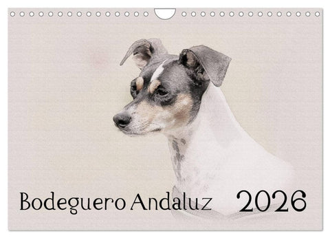Bodeguero Andaluz 2026 (Wandkalender 2026 DIN A4 quer), CALVENDO Monatskalender