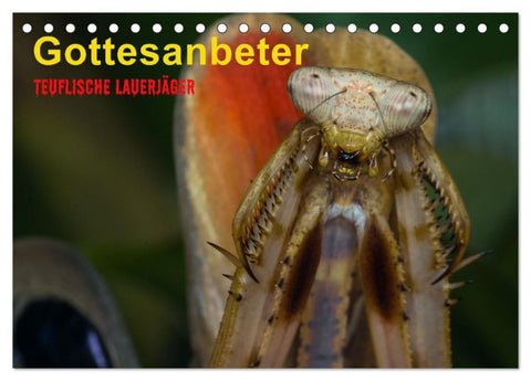 Gottesanbeter - Teuflische Lauerjäger (Tischkalender 2027 DIN A5 quer), CALVENDO Monatskalender