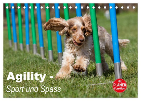Agility - Sport und Spass (Tischkalender 2026 DIN A5 quer), CALVENDO Monatskalender