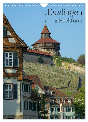Esslingen in Hochform (Wandkalender 2026 DIN A4 hoch), CALVENDO Monatskalender