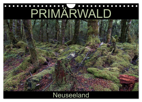 Primärwald - Neuseeland (Wandkalender 2026 DIN A4 quer), CALVENDO Monatskalender